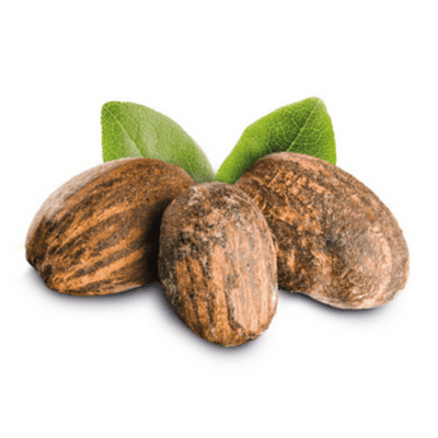 Shea vaj