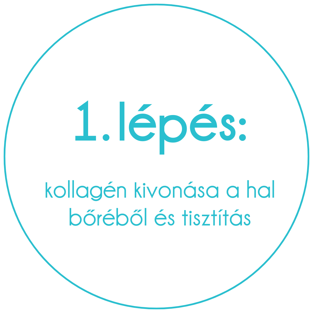 collagen superfood kollagén