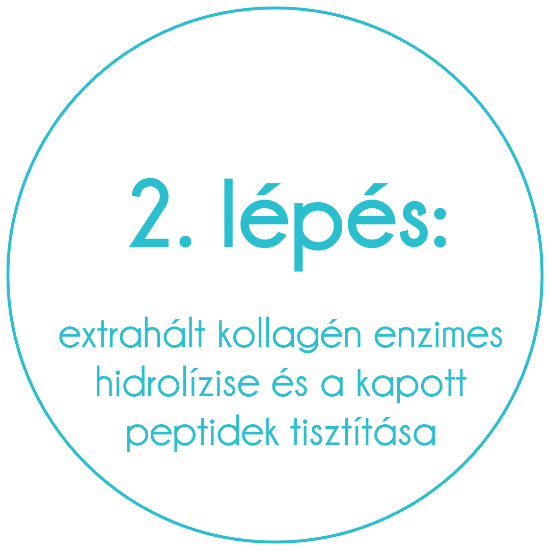 collagen superfood kollagén